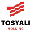 Tosyalı Holding
